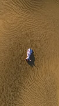 Young woman in white dress lies on golden sand in desert. Aerial vertical top shot. Drone is spinning around and flying upward. Vertical Video