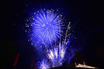 奈良県の野迫川村の平維盛の大祭の花火