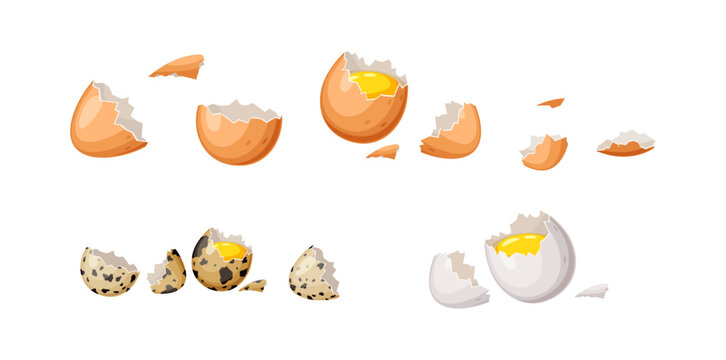 Broken eggs with shell color vector icon set. Eggshell pieces and raw yolk illustrations pack isolated on white background. Food ingredients
