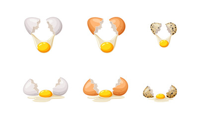 Broken chicken and quail eggs color vector icon set. Cooking breakfast of poultry products illustrations pack isolated on white background
