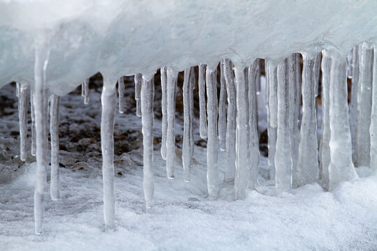 Icicles grow on the icy shore