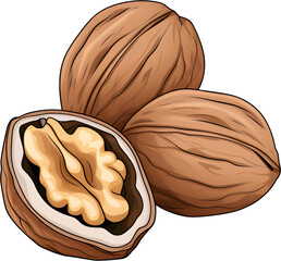 Walnuts, nuts