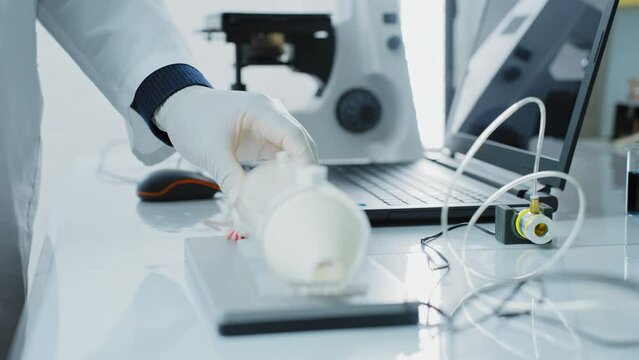 Laboratory research by scientists, experiments on animals rats