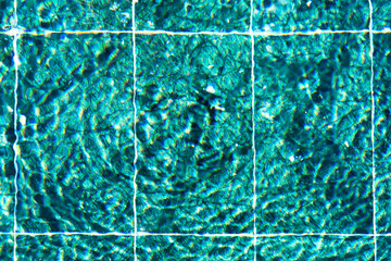 Emerald tiles under the water in the pool.