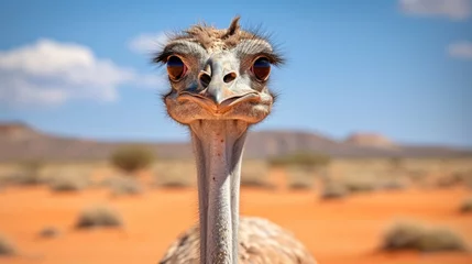 Stof per meter An ostrich against a sandy backdrop, its long neck and big eyes in focus. © baloch