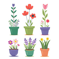 Flowers in pots isolated on transparent background, Generative AI