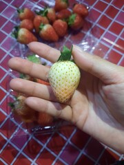 strawberry in hand