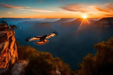 Foto op Canvas Flying over the blue mountains and sunset sky is a red-tailed hawk © Stone Shoaib