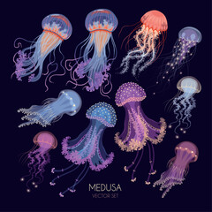 Big vector set of glowing jellyfish