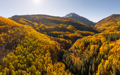 Colorado Aerial Sun Setting Over Vast Forest Landscape. Yellow Aspens and Alpines in Untouched...