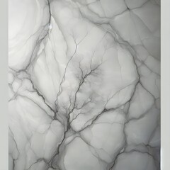 White  and grey  marble texture and background.