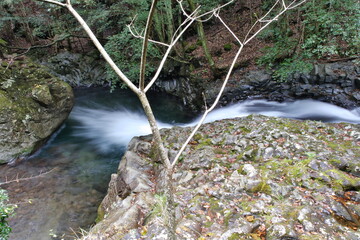 海老滝　静岡県河津町　Ebitaki Waterfall Kawazu Town, Shizuoka Prefecture
