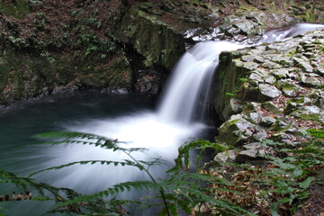 蛇滝　静岡県河津町　Snake Falls Kawazu Town, Shizuoka Prefecture