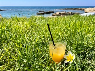 Cocktail with a drinking straw in the grass.