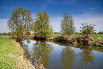 Fototapeta na wymiar Floodplain along the IJssel near Voorst
