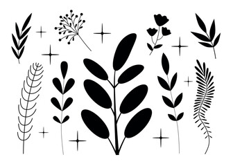 Plant silhouettes set. Isolated black elements. Decorative leaves, branches, flowers.