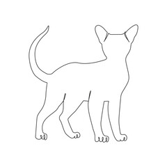 Continuous one line drawing cat. kitten Cat single line art vector illustration

