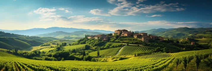 Rolgordijnen Panoramic view of a vineyard in Tuscany, wine tourism, rolling hills and grapevines © Nino Lavrenkova