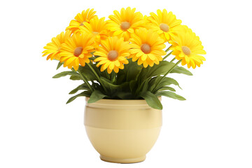 Pot of yellow daisy flowers on a white background isolated PNG