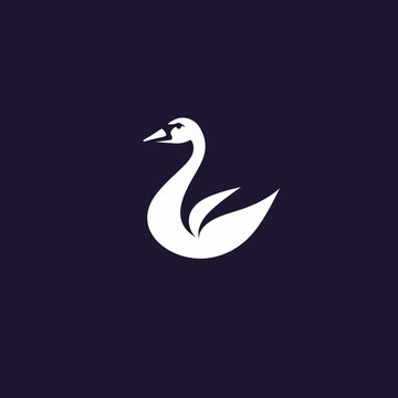 swan logo design template. Swans vector icon. Swans vector icon