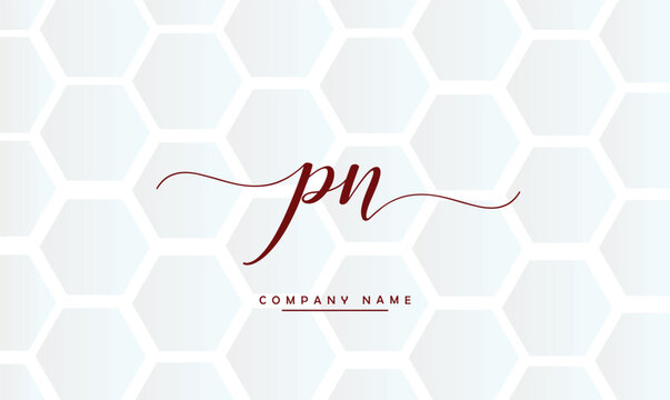 PN, NP, P, N Abstract Letters Logo Monogram