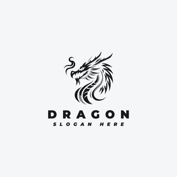 Dragon head logo design, with a simple pattern