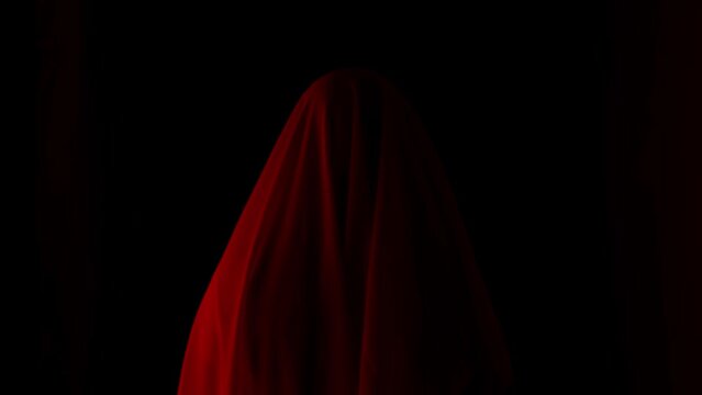 Portrait of ghost female in the house. Woman in white dress puts a veil covering her head standing in the corridor with red lightning.