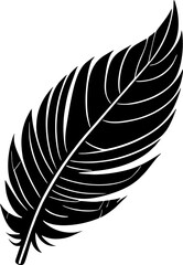black graphic contour drawing bird feather, logo, design