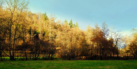 romantisches Nagoldtal im Schwarzwald bei Wildberg malerischem Sonnenlicht auf Wald am Abend