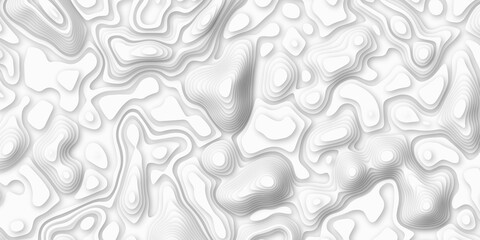 Topographic map in contour line Geography relief. Abstract lines background. Contour maps. Abstract white pattern topography vector back contour lines vector map seamless pattern.