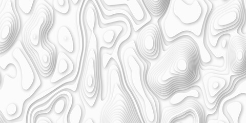 Topographic map in contour line Geography relief. Abstract lines background. Contour maps. Abstract white pattern topography vector back contour lines vector map seamless pattern.