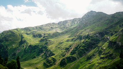 Sunny view of a grassy mountain hill	