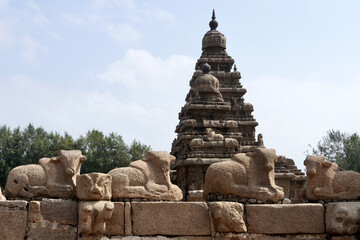 Shore temple in Mahabalipuram. Ancient seashore historical temple constructed in 7th century A.D at...