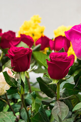 Bouquets of roses in flower shop. Selling fresh flowers for Valentines Day. Multi-colored flowers close-up.