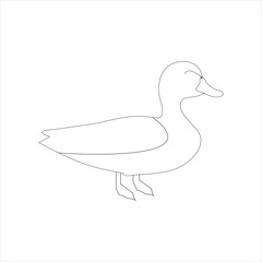 A duck Continuous single line drawing vector illustration. Continuous outline of Animal bird icon
