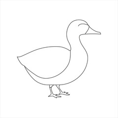 A duck Continuous single line drawing vector illustration. Continuous outline of Animal bird icon
