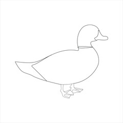 A duck Continuous single line drawing vector illustration. Continuous outline of Animal bird icon
