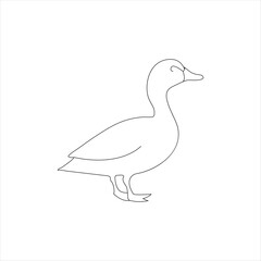 A duck Continuous single line drawing vector illustration. Continuous outline of Animal bird icon
