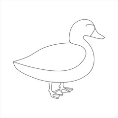 A duck Continuous single line drawing vector illustration. Continuous outline of Animal bird icon
