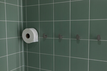 A roll of toilet paper hangs on a hook in the toilet.