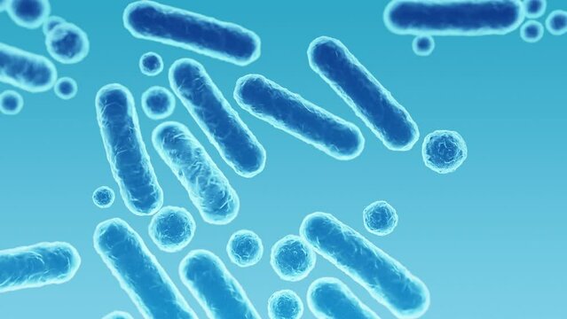 Enterobacteriaceae, gram-negative rod-shaped bacteria, part of intestinal microbiome and causative agents of different infections, 3D rendering. Escherichia coli, Klebsiella, Enterobacter and other