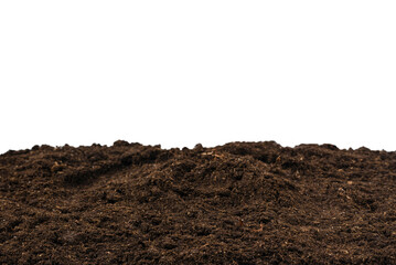 Soil for plant isolated on white background. - obrazy, fototapety, plakaty