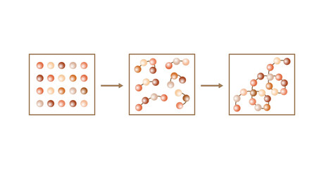 Protein Formation. Biochemical Structure Of Amino acids, Peptides And Proteins Molecular Model. Scientific Design. Vector Illustration.