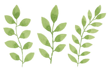 Assortment of watercolor leaves illustration set - green leaf branches collection for wedding, greetings, stationary, wallpapers, fashion, background. olive, green leaves, Eucalyptus etc