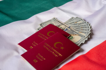 passport,italy flag and dollars
