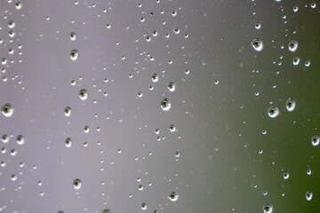 rain drops on window