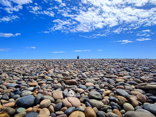 Beach with pebbles in Patagonia, Tierra del Fuego, Argentina in spring, with a penguin in the background.