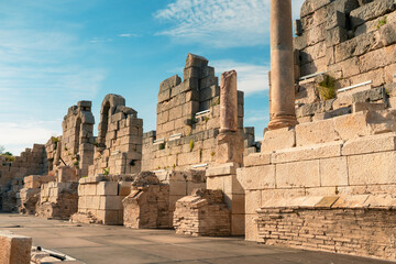 Fototapete bei efototapeten.de bestellen   