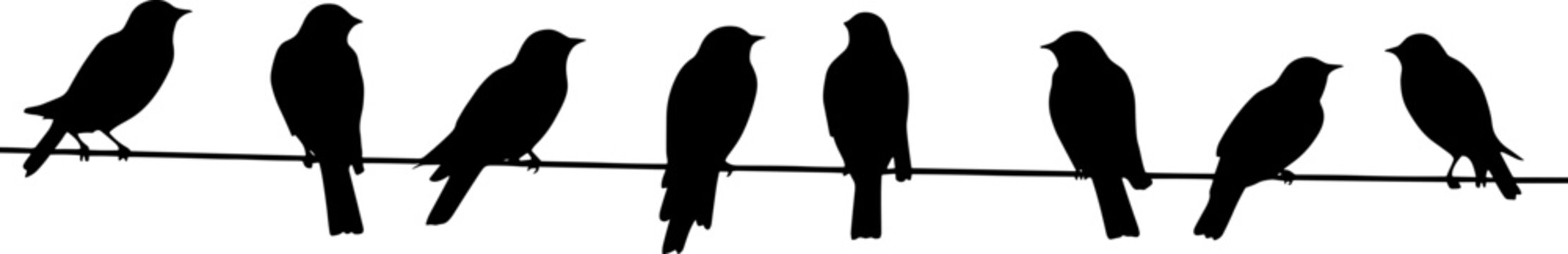 Vector silhouettes of birds. Doves on wires. Shadows of seated and flying birds. AI generated illustration.