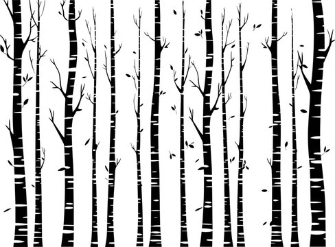 Black and White Vector Birch Tree Silhouette Background with Birds. AI generated illustration.